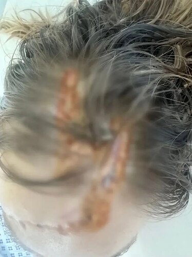 IMAGE 2026-01-07 22:32:07