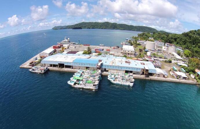 telegram-cloud-photo-size-1-5076049941536377762-y